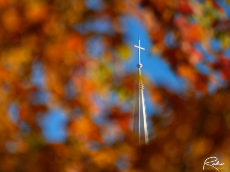 Steeple Through the Trees