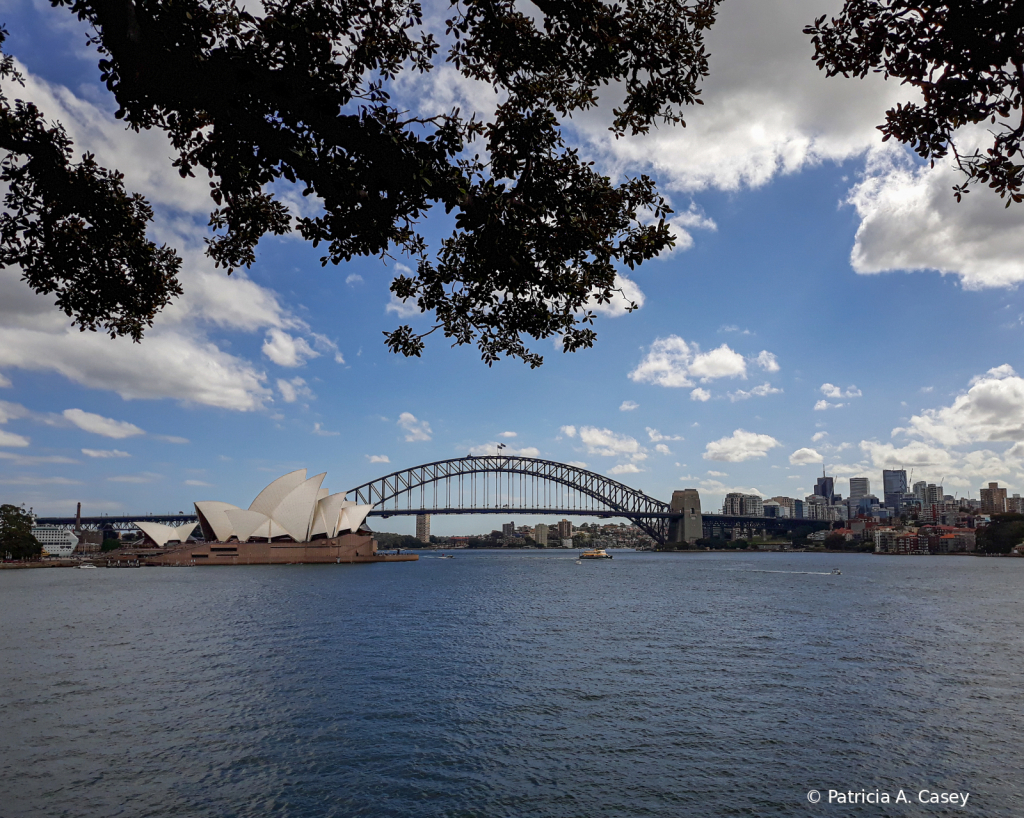 Mrs. Macquarie's Chair - ID: 15783220 © Patricia A. Casey