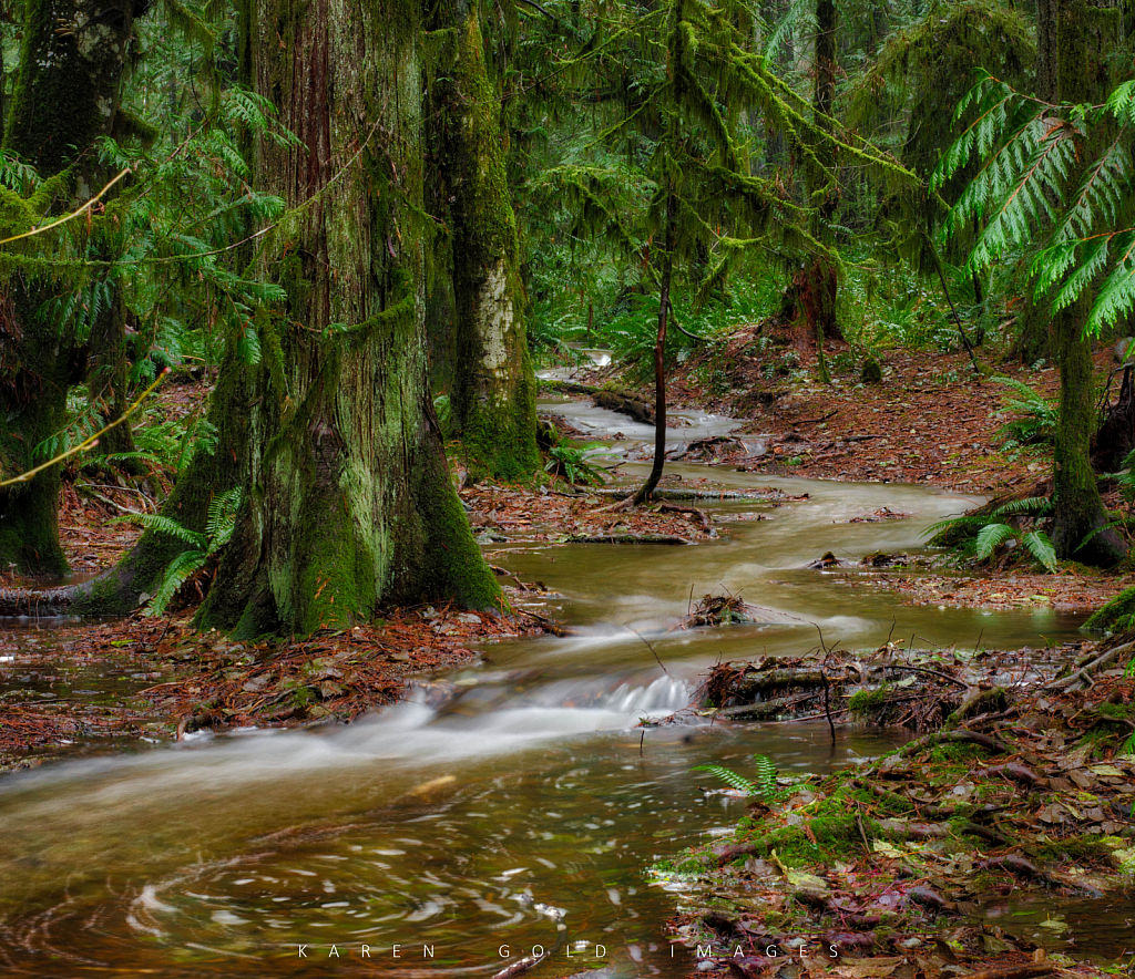 Cumberland Creek