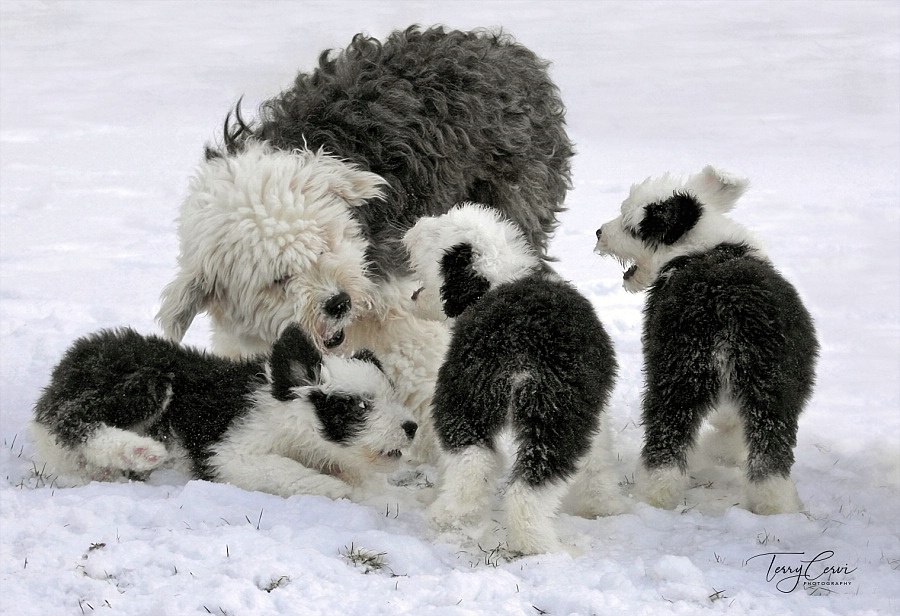 Playing with Mom