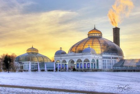 Sundown at the Botanical Gardens