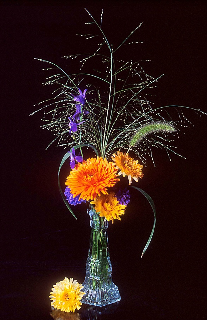 Wildflowers & Grasses