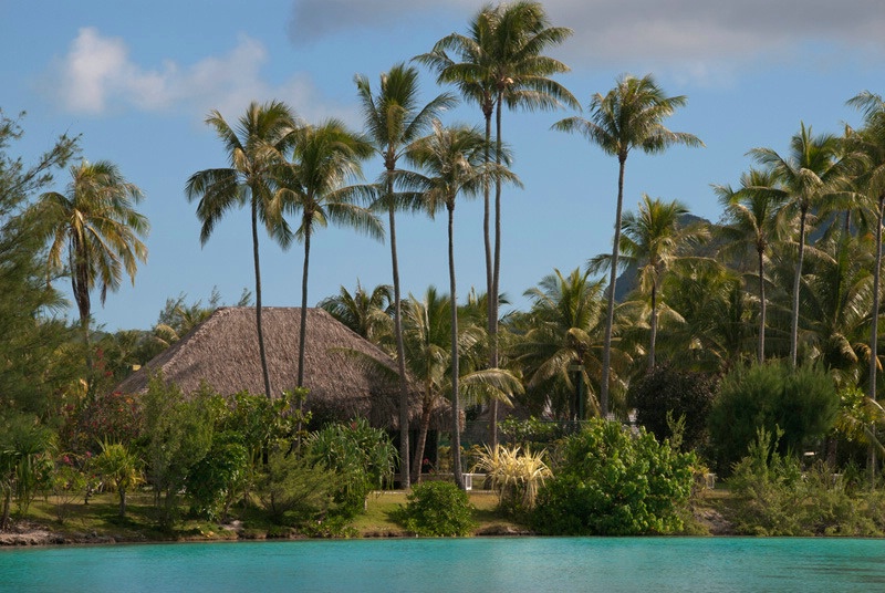 Tahitian Paradise