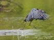 Taking Off