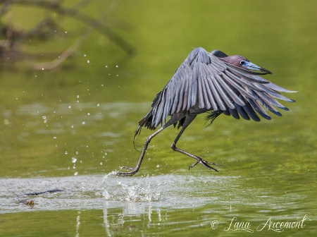 Taking Off