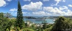 A View