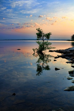 Reflections Of Morning