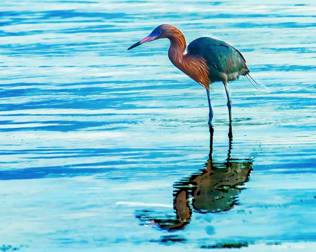 Red Reflected