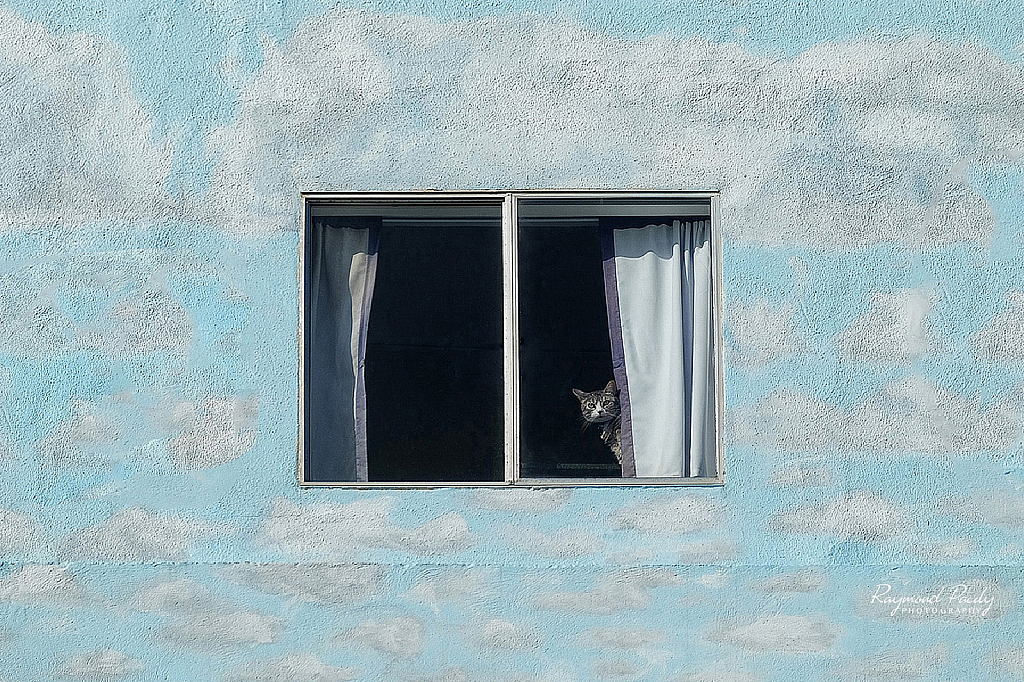 Peeping Tom
