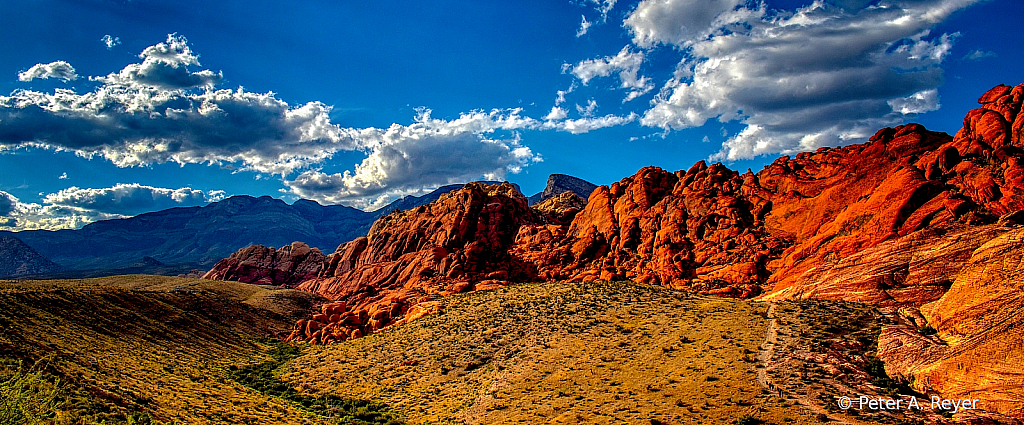 A Day In Red Rock NV