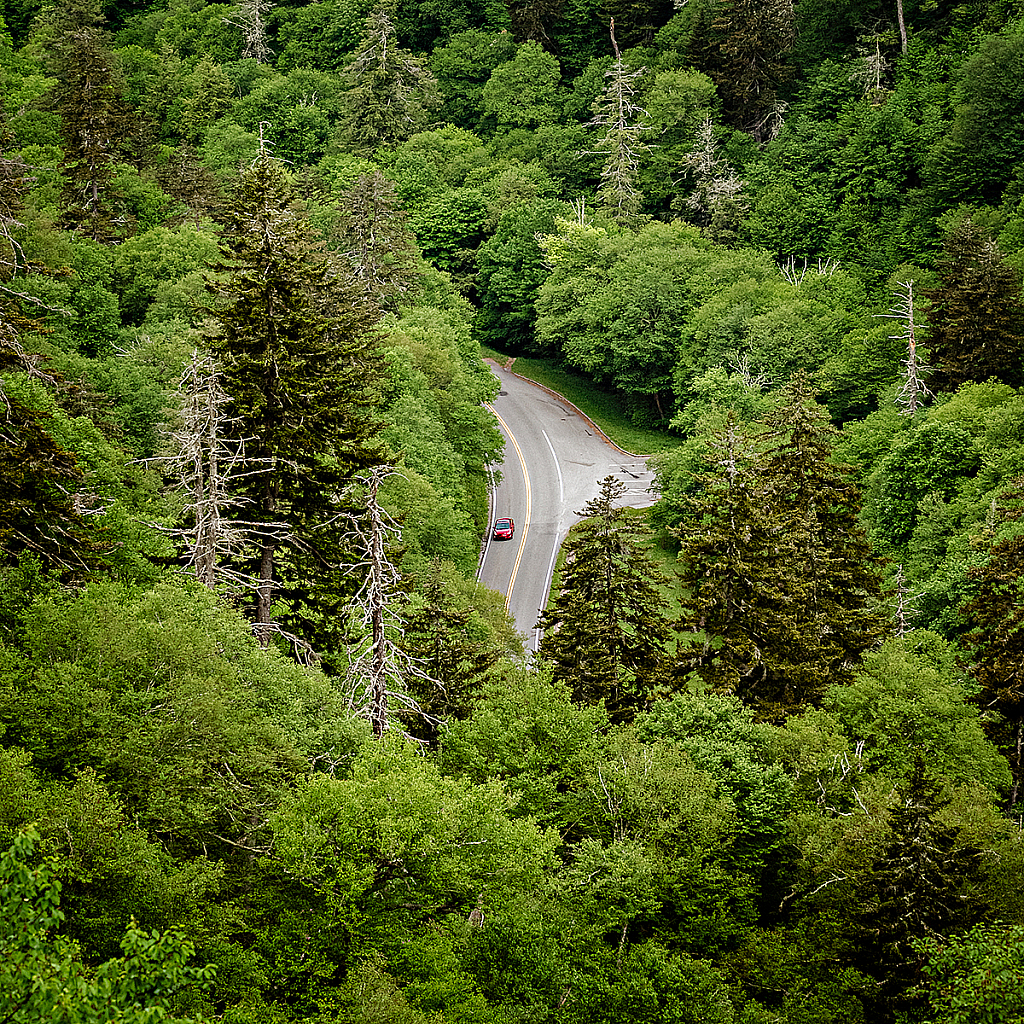 Mountain Drive