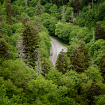 Mountain Drive