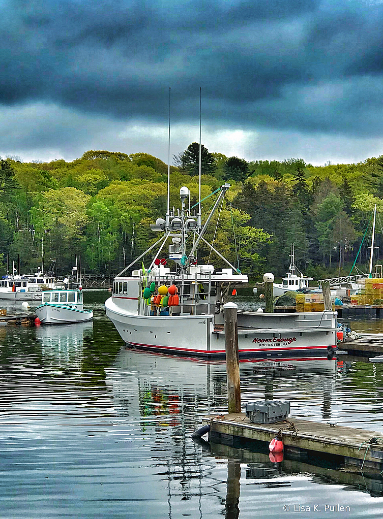 The Colors at Christmas Cove