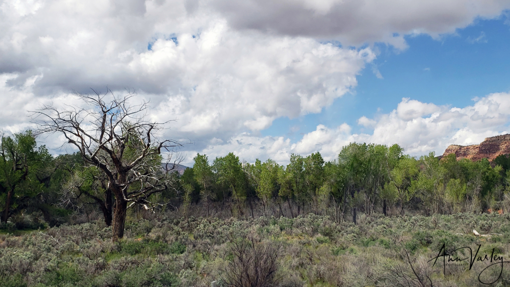 along a bypass road