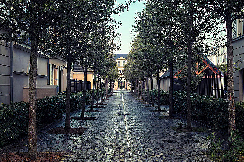 Alley After The Rain