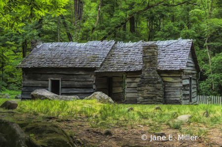 Cabin in the Hills of Tennessee