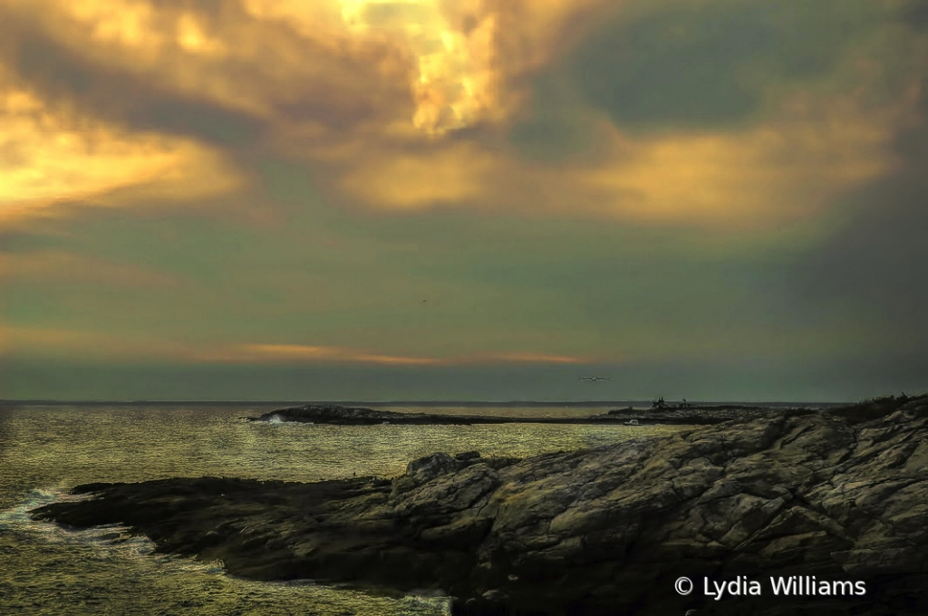Shore - ID: 15726913 © Lydia Williams