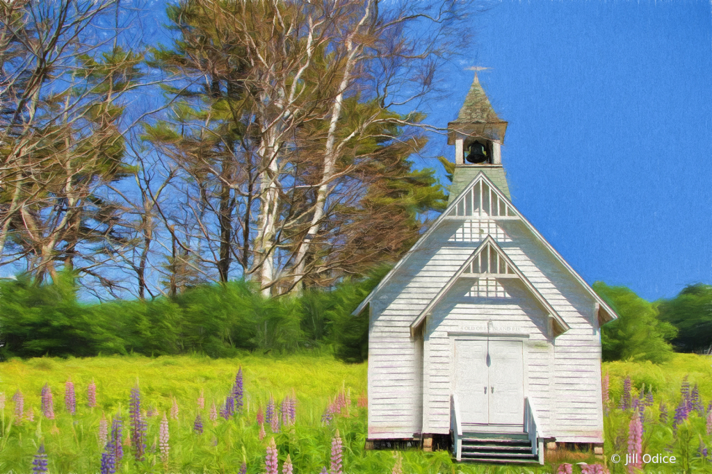 Church in the Lupines