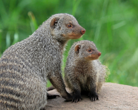 Me and Mom on the Lookout Together