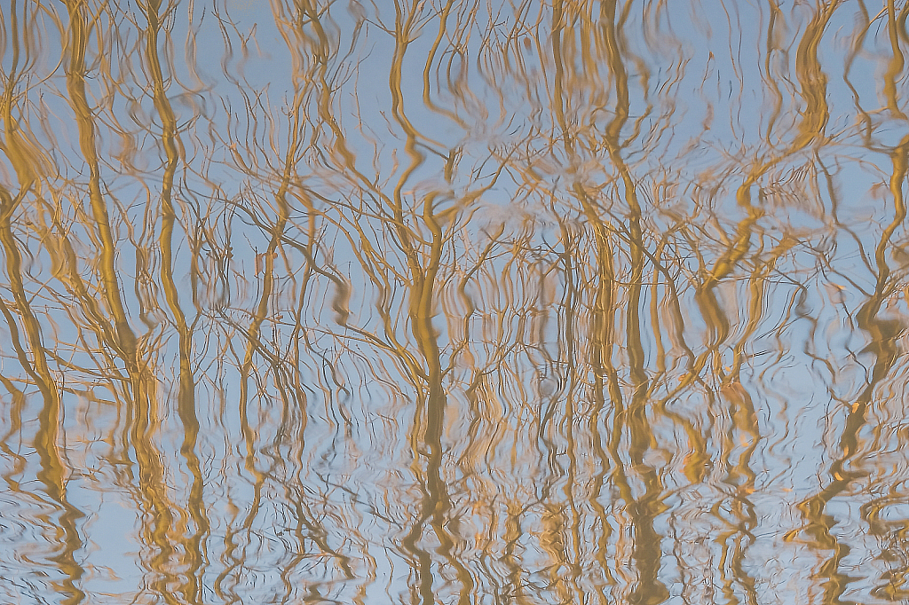 reflecting on nature