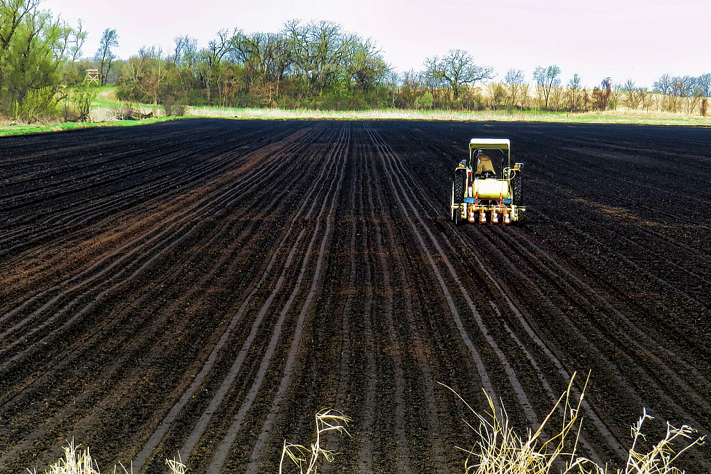 Good Old Black Iowa Soil