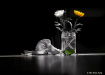 White & Yellow