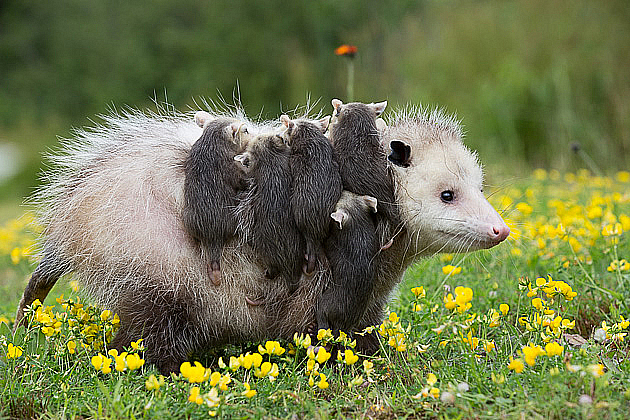 Just Hangin with Mom 