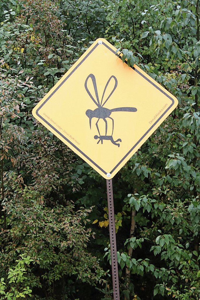 Caution - Large Mosquitoes