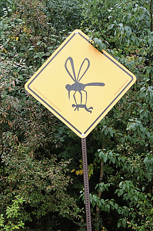 Caution - Large Mosquitoes