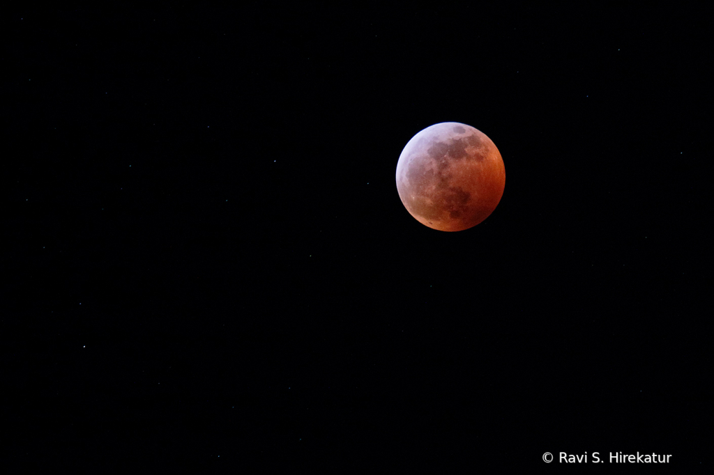 Blood Moon  - ID: 15728853 © Ravi S. Hirekatur