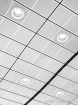 lines and light