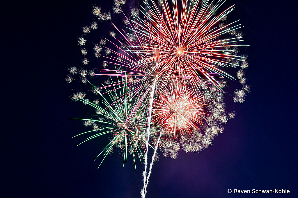 Dandelion Seeds