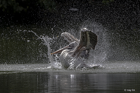 Washing