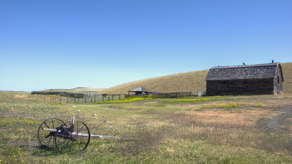 Ranch Relics 