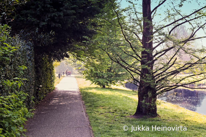 On A Morning Walk