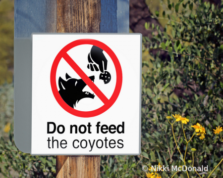 Do Not Feed the Coyotes