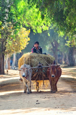 The Straw Cart