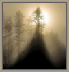 Morning Misty Lig...