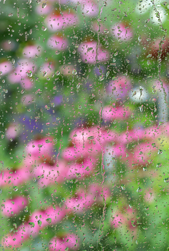 Ballet for a Rainy Day