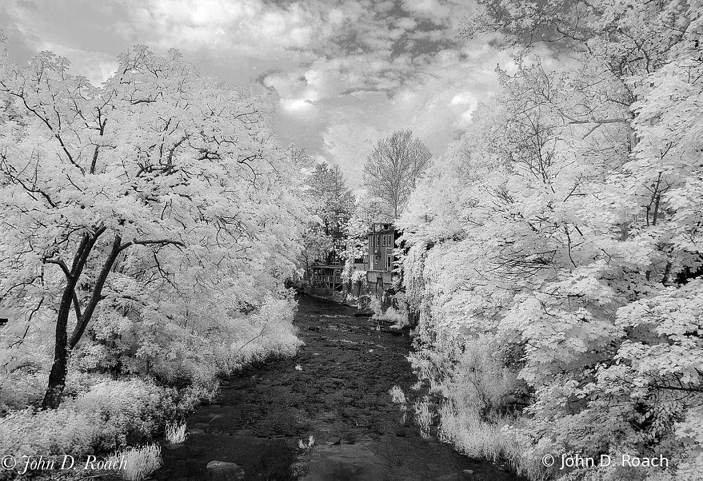 Nishisakawick Creek-1 - ID: 15729807 © John D. Roach