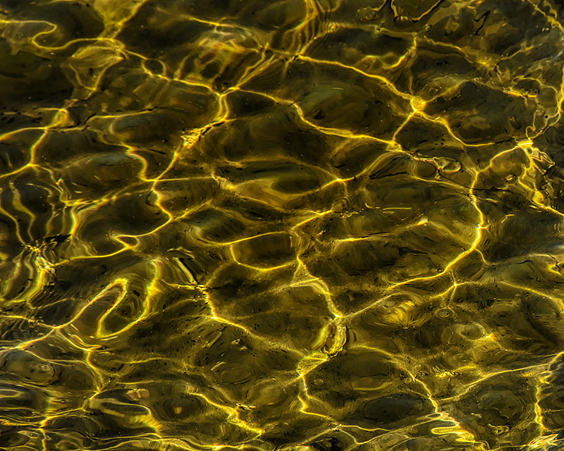 Gold in the Water