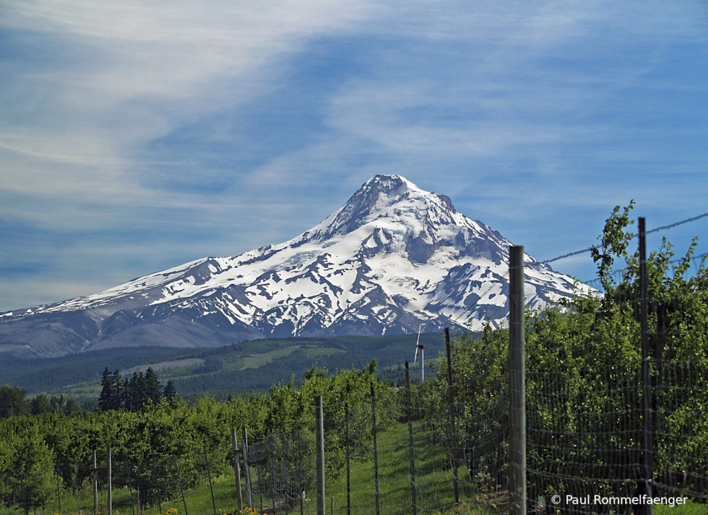 Mount Hood