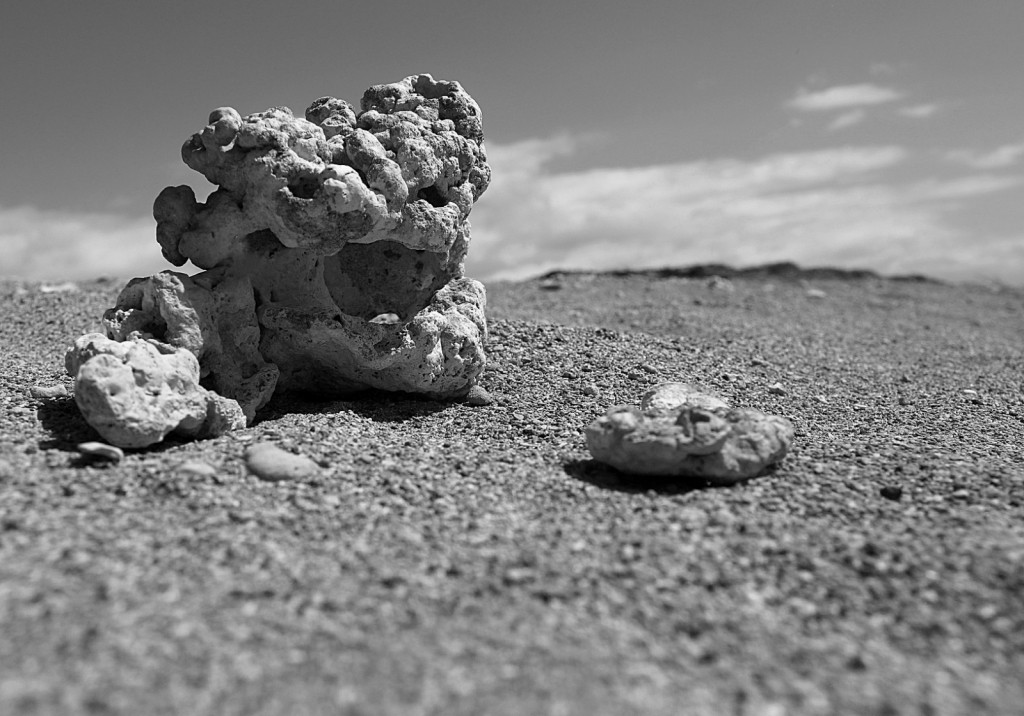 On the Beach