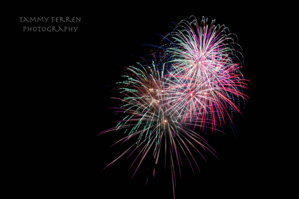 ~~  2019 Fireworks  ~~