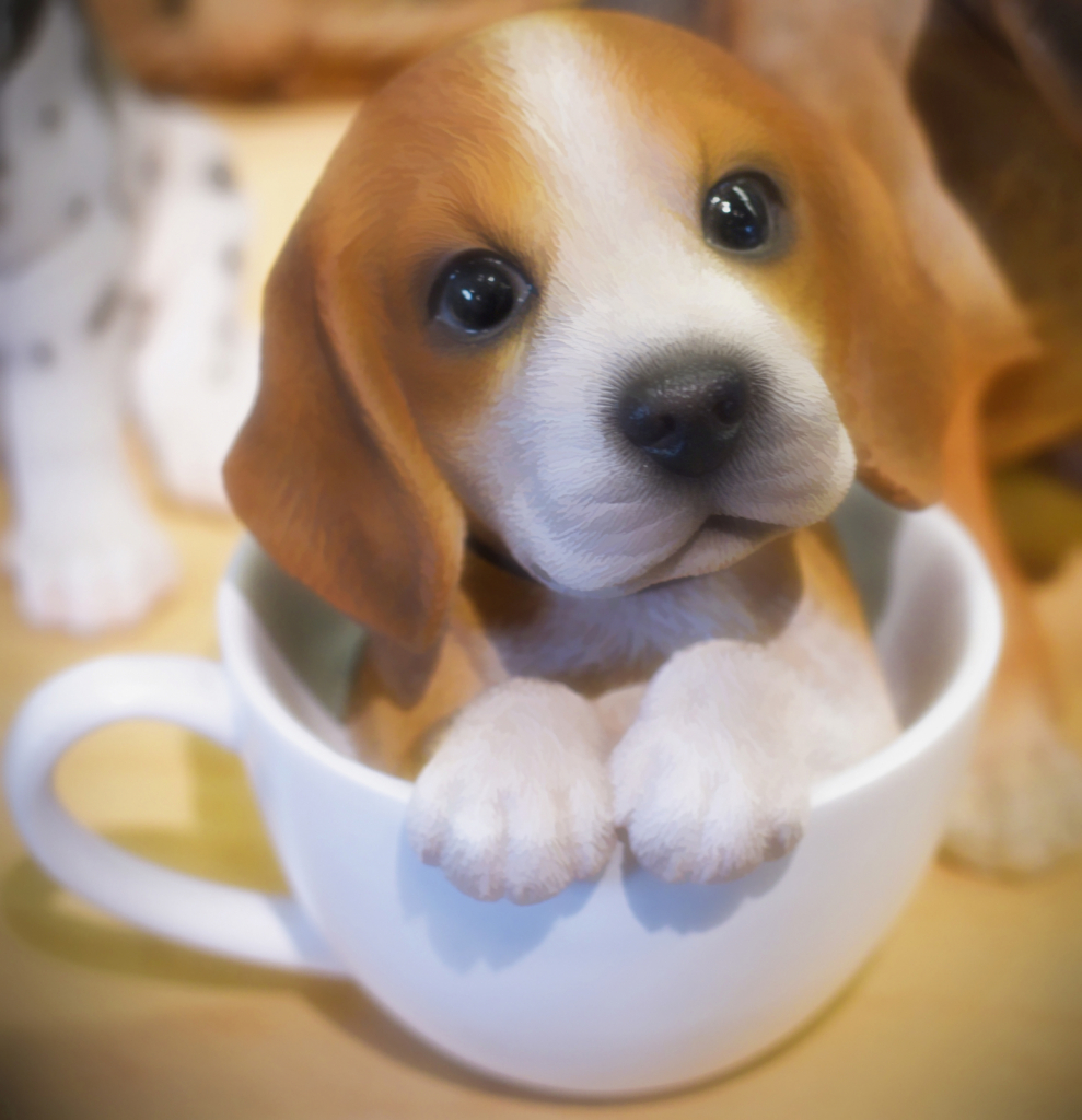 Tea Cup Pup