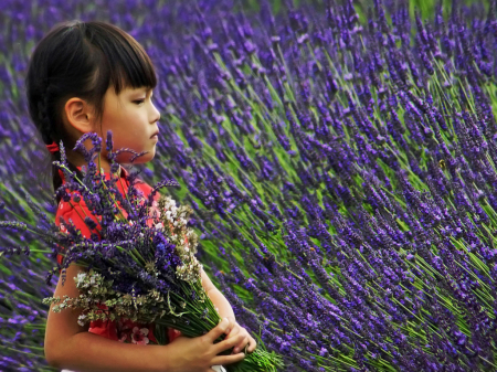 Walking Through Lavender