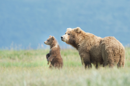 Checking Out the World with Mom