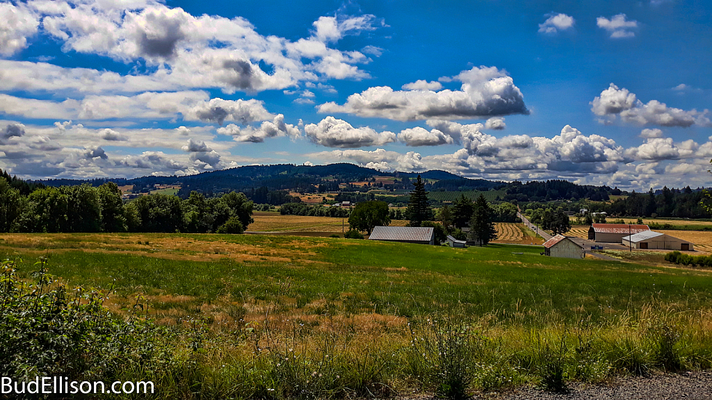 Summer Morning - Yamhill County, Oregon