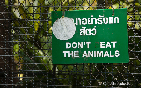 Dont Eat the animals