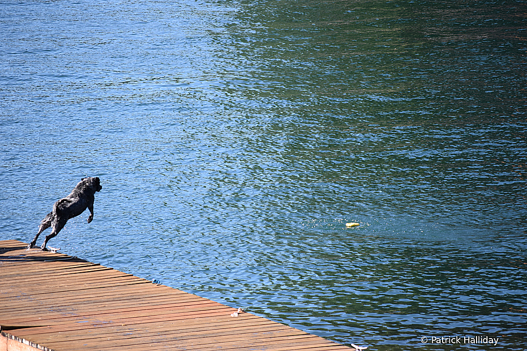 img20